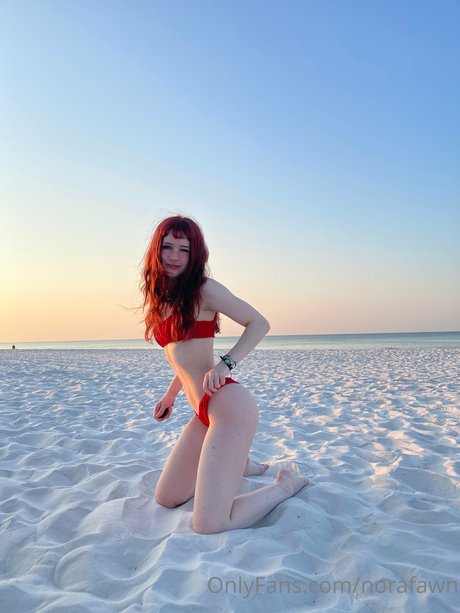 Norafawn