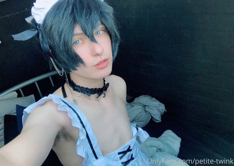 Petitetwink
