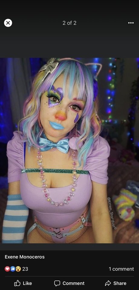 Kittenstardust