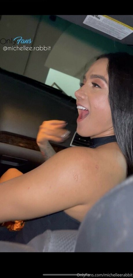 Michelleerabbit