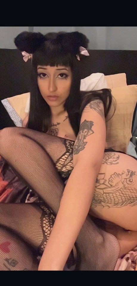 Bitchylatina