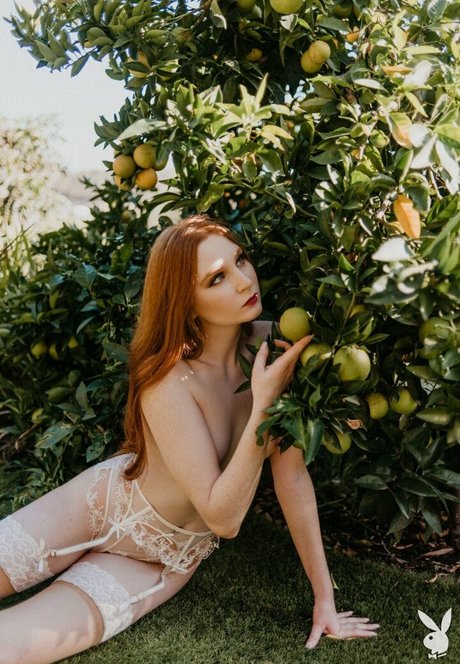 Jessica Lynette Brooks