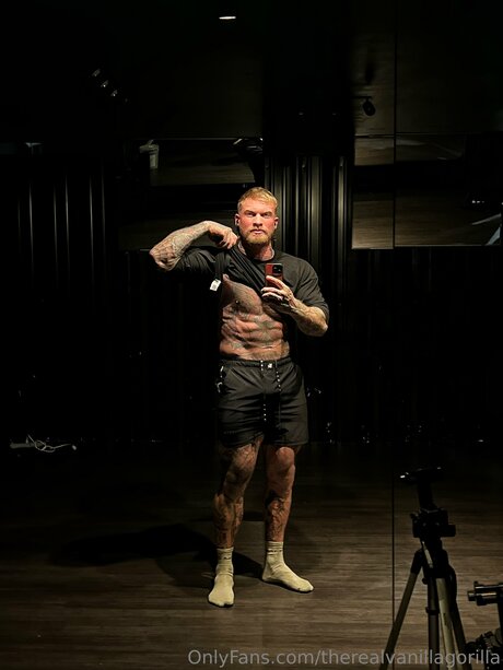 Therealvanillagorilla