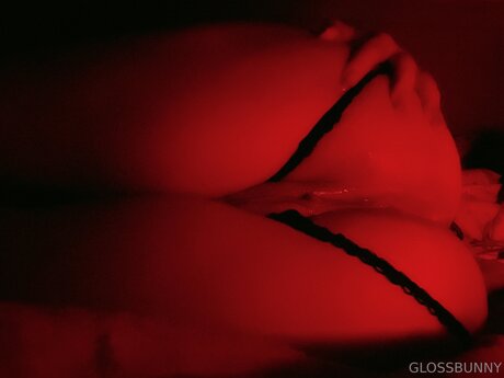 Glossbunny