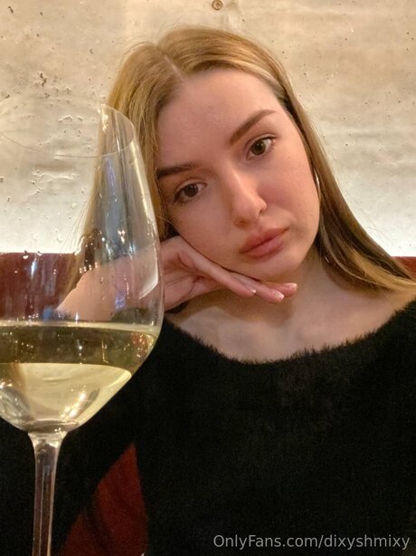 Dixyshmixy