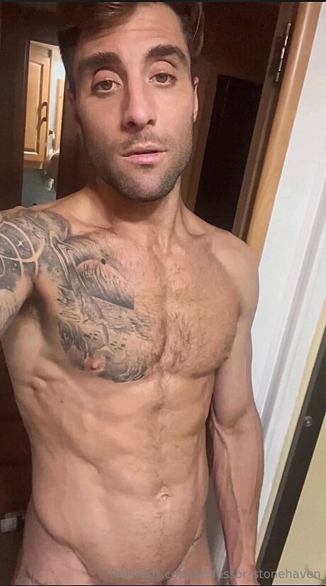 Professor Stonehaven