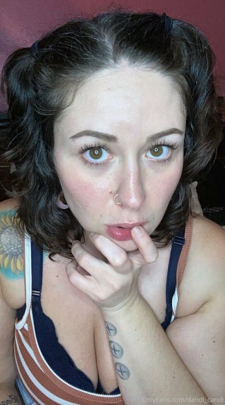 Dandicandi