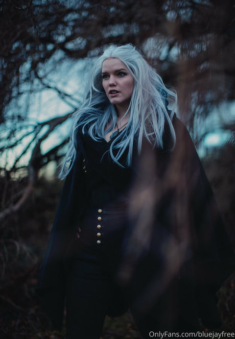 Bluejayfree