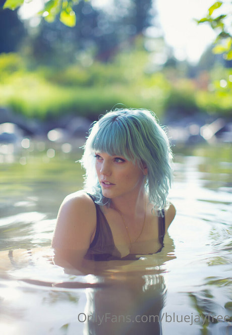 Bluejayfree