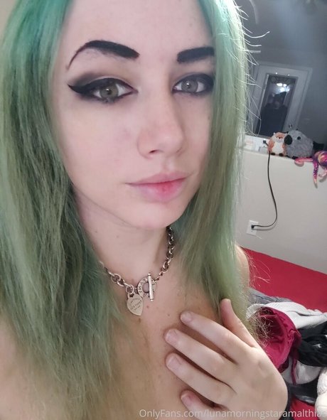 Lunamorningstaramalthias