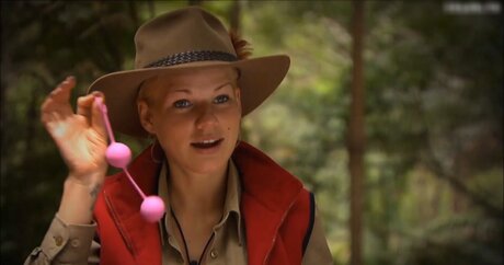 Ich Bin Ein Star  Holt Mich Hier Raus