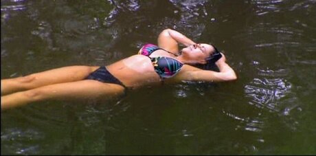 Ich Bin Ein Star  Holt Mich Hier Raus