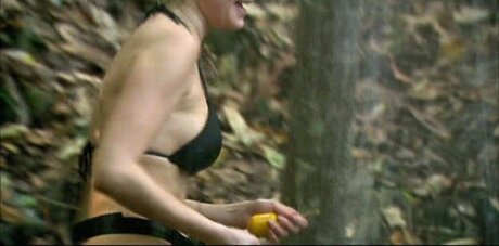 Ich Bin Ein Star  Holt Mich Hier Raus