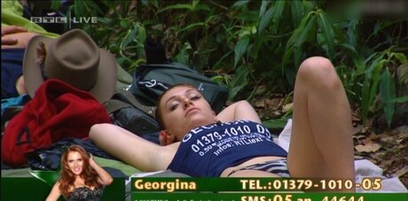 Ich Bin Ein Star  Holt Mich Hier Raus