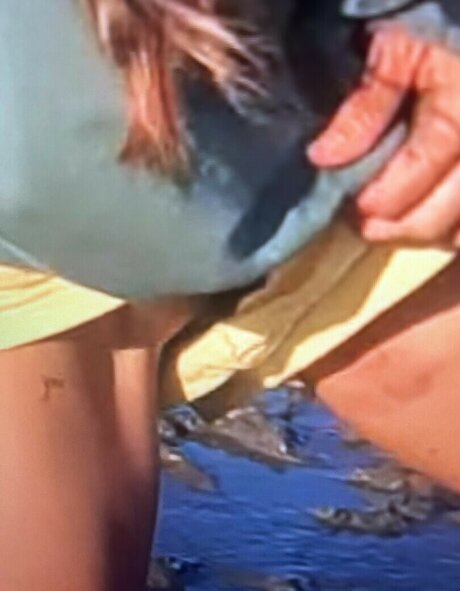 Sailing The Far Side