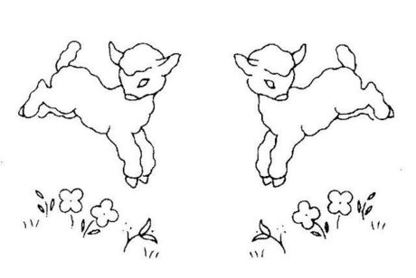 Foto di nudo di fuga di OnlyFans di Lily