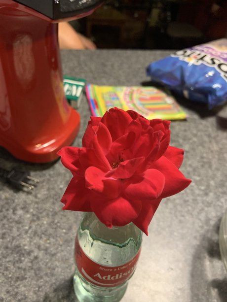 Foto di nudo di fuga di OnlyFans di Precious Peach