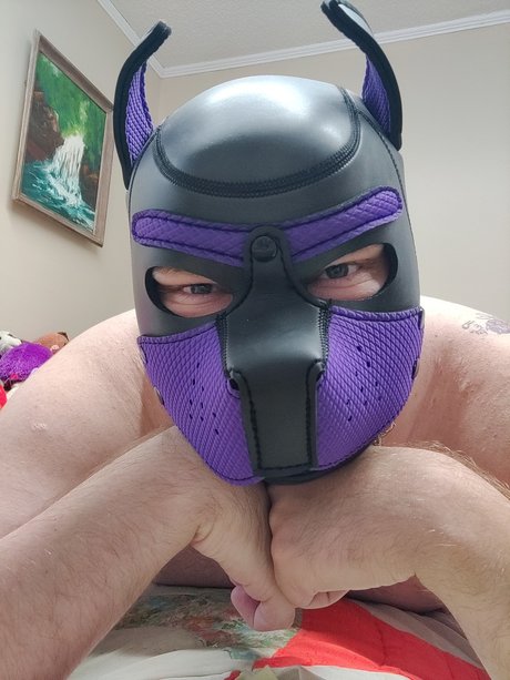 Pup Lace