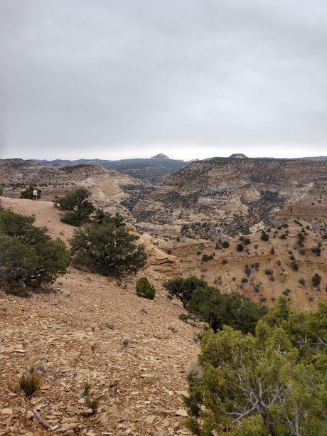 Foto di nudo di fuga di OnlyFans di Bamfurlough