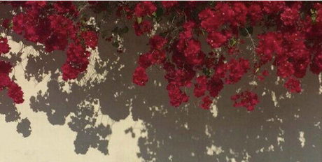 Foto di nudo di fuga di OnlyFans di Your Bitch