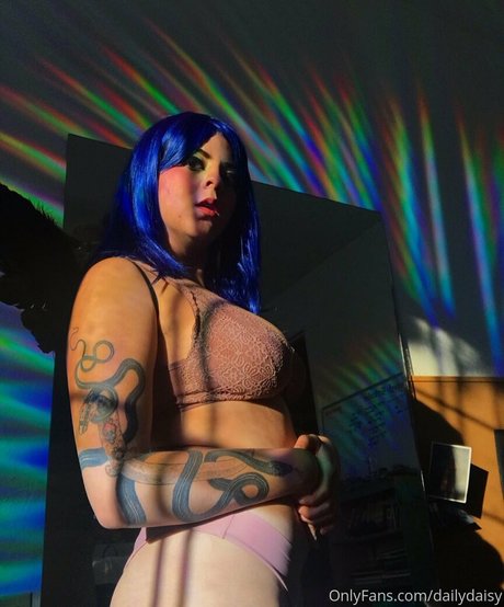 Dailydaisy