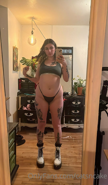 Catsncake