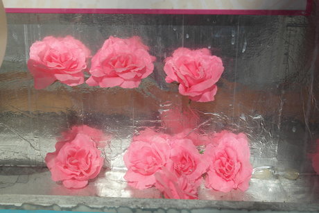 Foto di nudo di fuga di OnlyFans di Metsanneiti