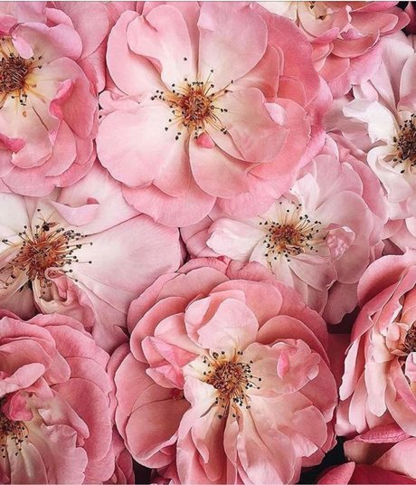 Foto di nudo di fuga di OnlyFans di Casanova