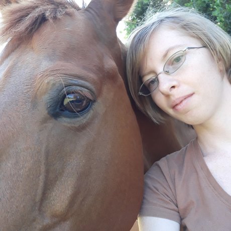 Heart Of Imagination