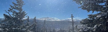 Foto di nudo di fuga di OnlyFans di Alisha Dallas