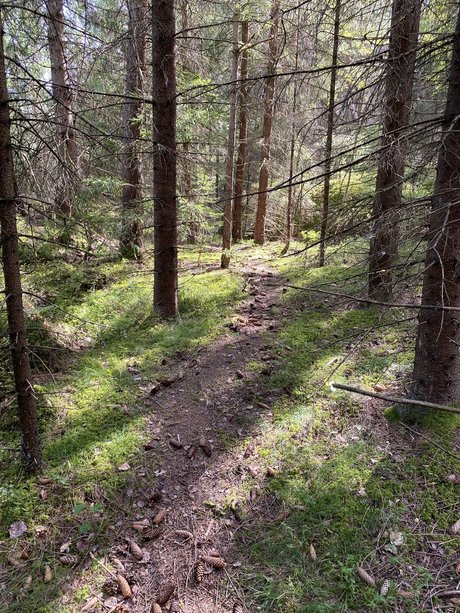 Foto di nudo di fuga di OnlyFans di Marykay