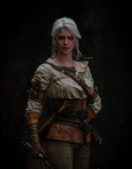 The Witcher