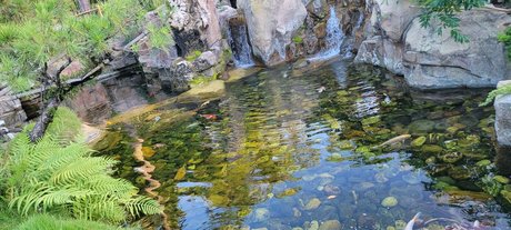 Foto di nudo di fuga di OnlyFans di Mystibabe