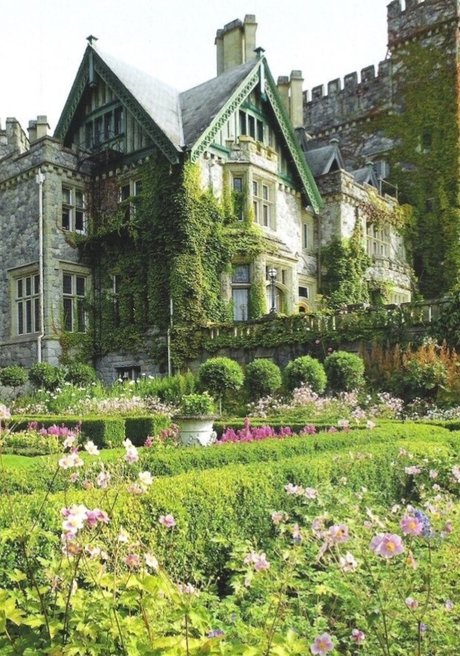 Foto di nudo di fuga di OnlyFans di Curly And Curvy