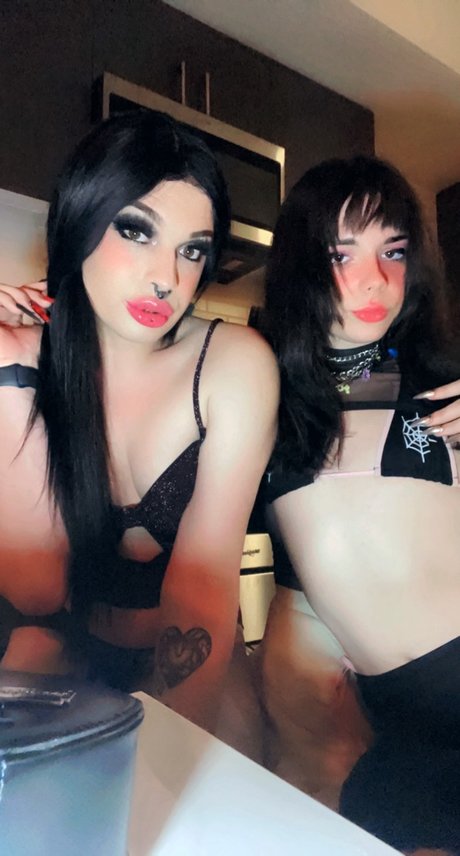 Vylette Ampamp Squish