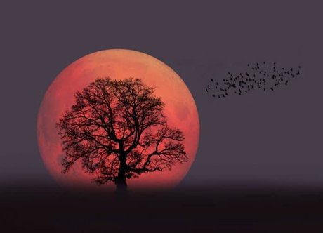 Foto di nudo di fuga di OnlyFans di Your Favourite Pagan