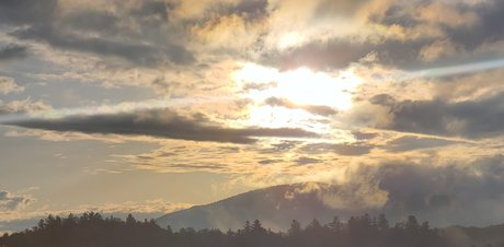 Foto di nudo di fuga di OnlyFans di Adirondack Bear