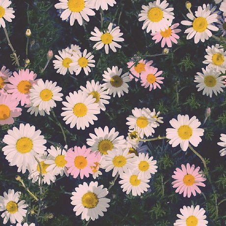 Foto di nudo di fuga di OnlyFans di Ally Aimes 