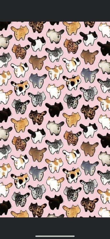 Foto di nudo di fuga di OnlyFans di Mueca