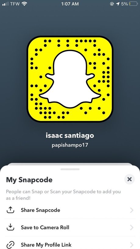 Foto di nudo di fuga di OnlyFans di Papishampo