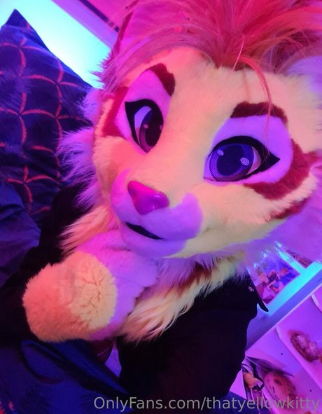 Thatyellowkitty