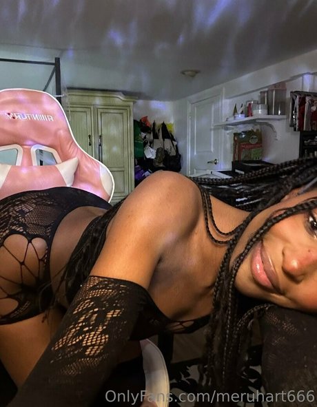 Meruhart666