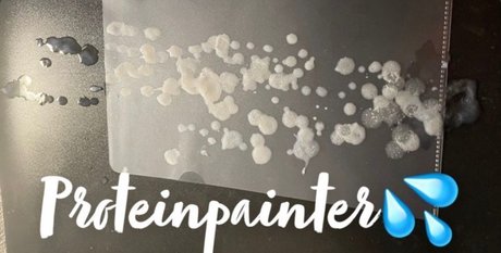 Proteinpainter