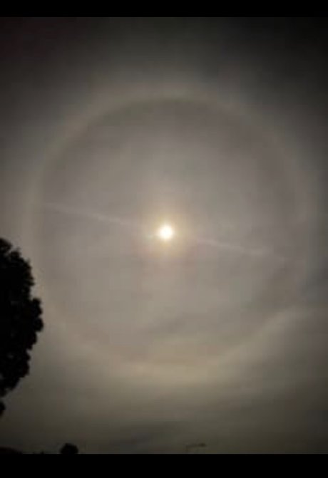 Foto di nudo di fuga di OnlyFans di Rainbow