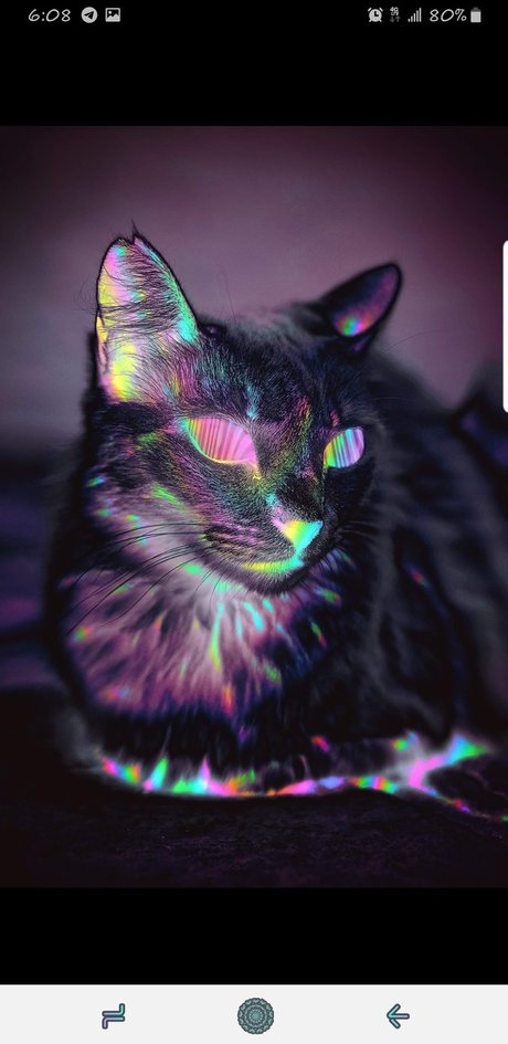 Foto di nudo di fuga di OnlyFans di Calli