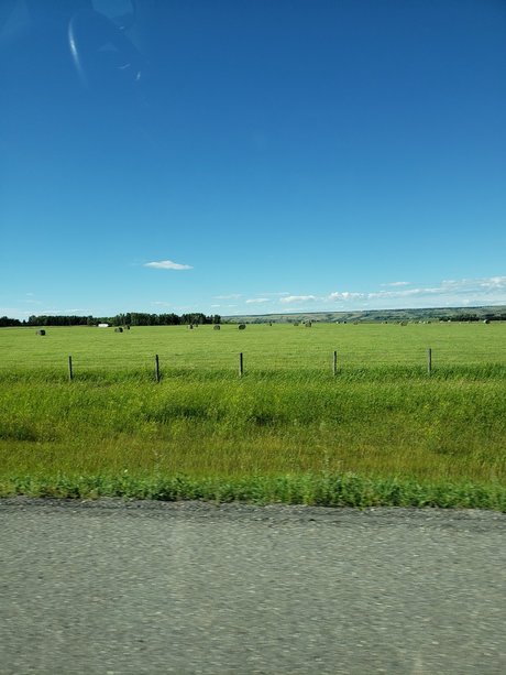 Foto di nudo di fuga di OnlyFans di Runnerphilv