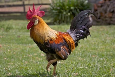 Foto di nudo di fuga di OnlyFans di Rosa Valera