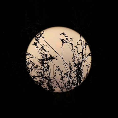 Foto di nudo di fuga di OnlyFans di Chevy Douche