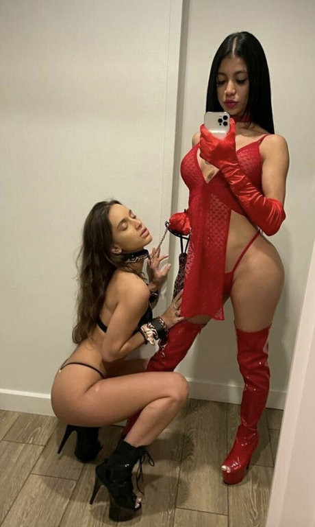 Lilveronicar