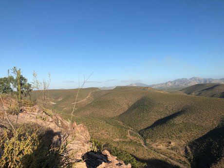 Foto di nudo di fuga di OnlyFans di Brandon